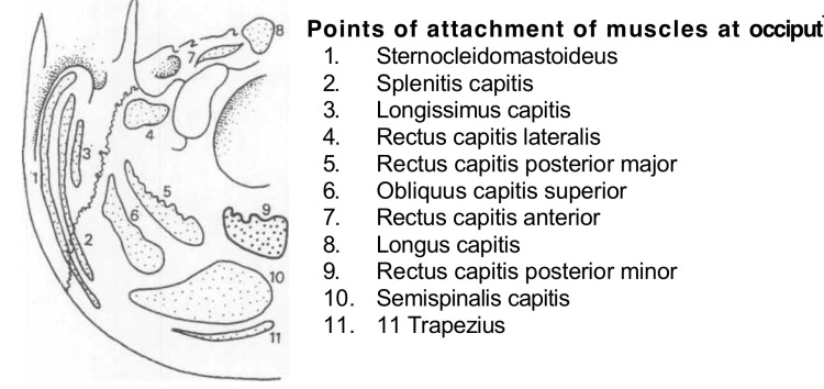 points-of-attachment