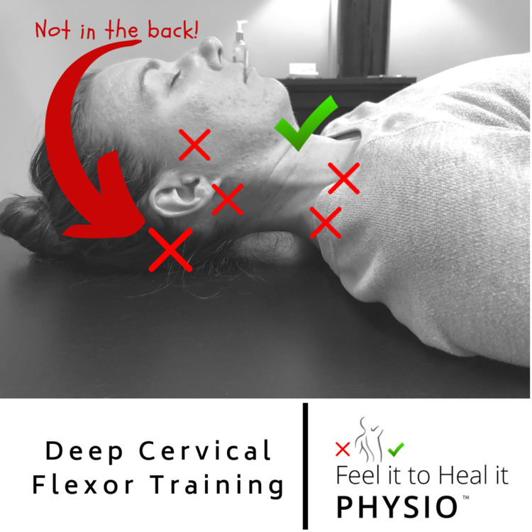 deep+cervical+flexors (1)