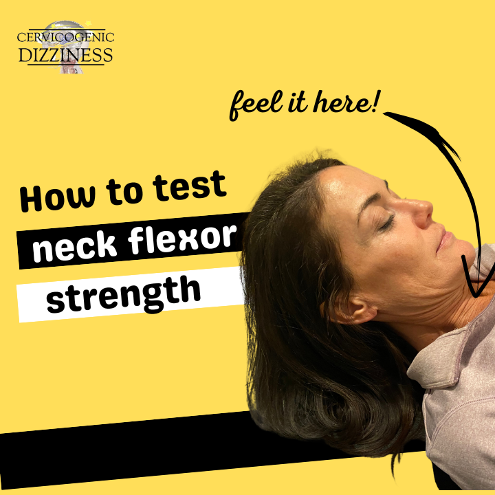 How to test neck flexor strength Cervicogenic Dizziness