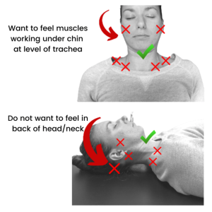 Where to feel deep neck flexor exercise
