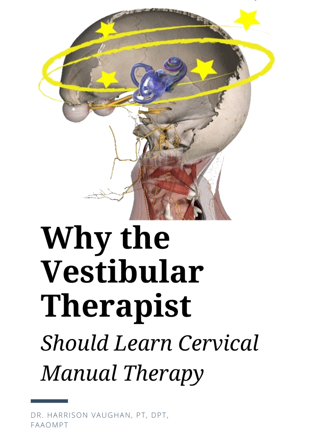 TheVestibularTherapists-1086×1536